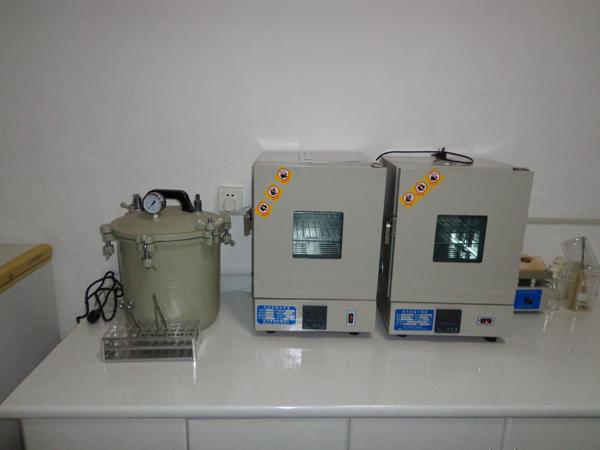 青島先優食品丨雞排加工丨雞排批發丨雞排廠家丨雞排加盟