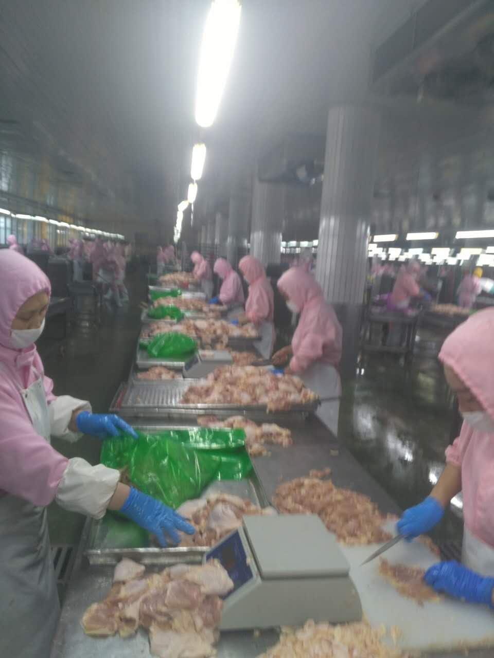 青島先優食品丨雞排加工丨雞排批發丨雞排廠家丨雞排加盟