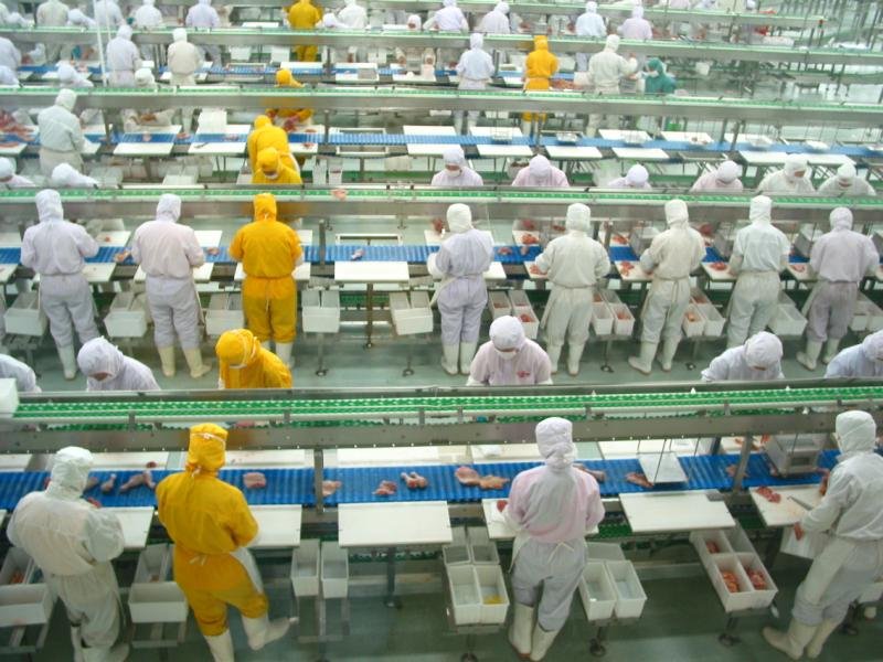 青島先優食品丨雞排加工丨雞排批發丨雞排廠家丨雞排加盟