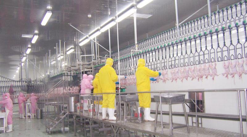 青島先優食品丨雞排加工丨雞排批發丨雞排廠家丨雞排加盟