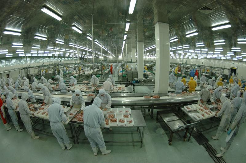 青島先優食品丨雞排加工丨雞排批發丨雞排廠家丨雞排加盟