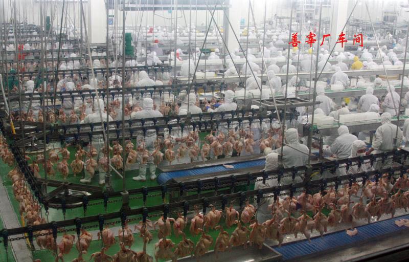 青島先優食品丨雞排加工丨雞排批發丨雞排廠家丨雞排加盟